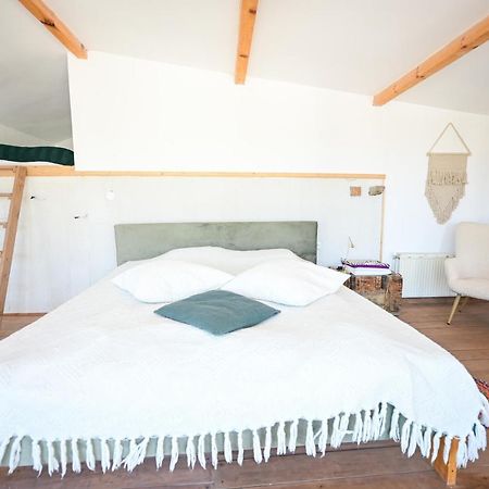 Guest House Bulgarka Dibich Экстерьер фото
